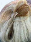 hairclip_tail.jpg (18681 bytes)