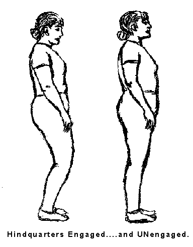 Human_hindquarters.gif (5762 bytes)