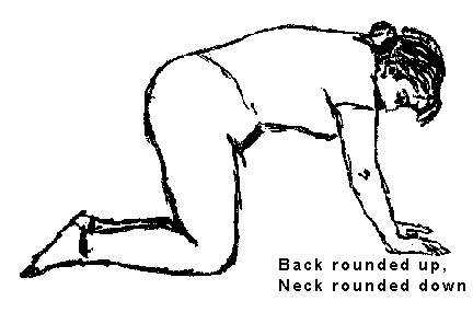 Human_rounded_back.gif (3670 bytes)