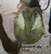 Lasodo_1-7-13_RF_sole_after.jpg (89572 bytes)