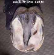 Lasodo_Feb_20_2013_RF_sole_after.jpg (63512 bytes)