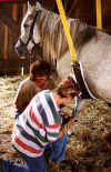 Strasser_2001_ON_clinic_slingtrim2.jpg (72440 bytes)