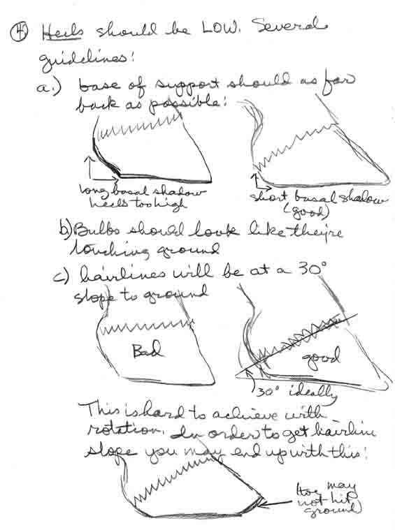 Treating Founder (Chronic Laminitis) Without Shoes--Trim sketches